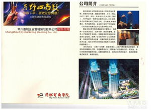 高端品牌策劃與VI設(shè)計(jì) 塑造企業(yè)形象的視覺之道
